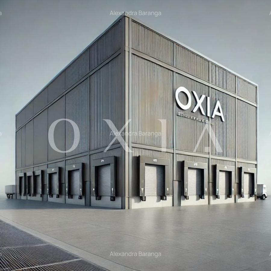 AX1132 Calea Sagului, Platforma Industriala, 7.387 MP - 1 AX1132 Calea Sagului, Platforma Industriala, 7.387 MP - 1