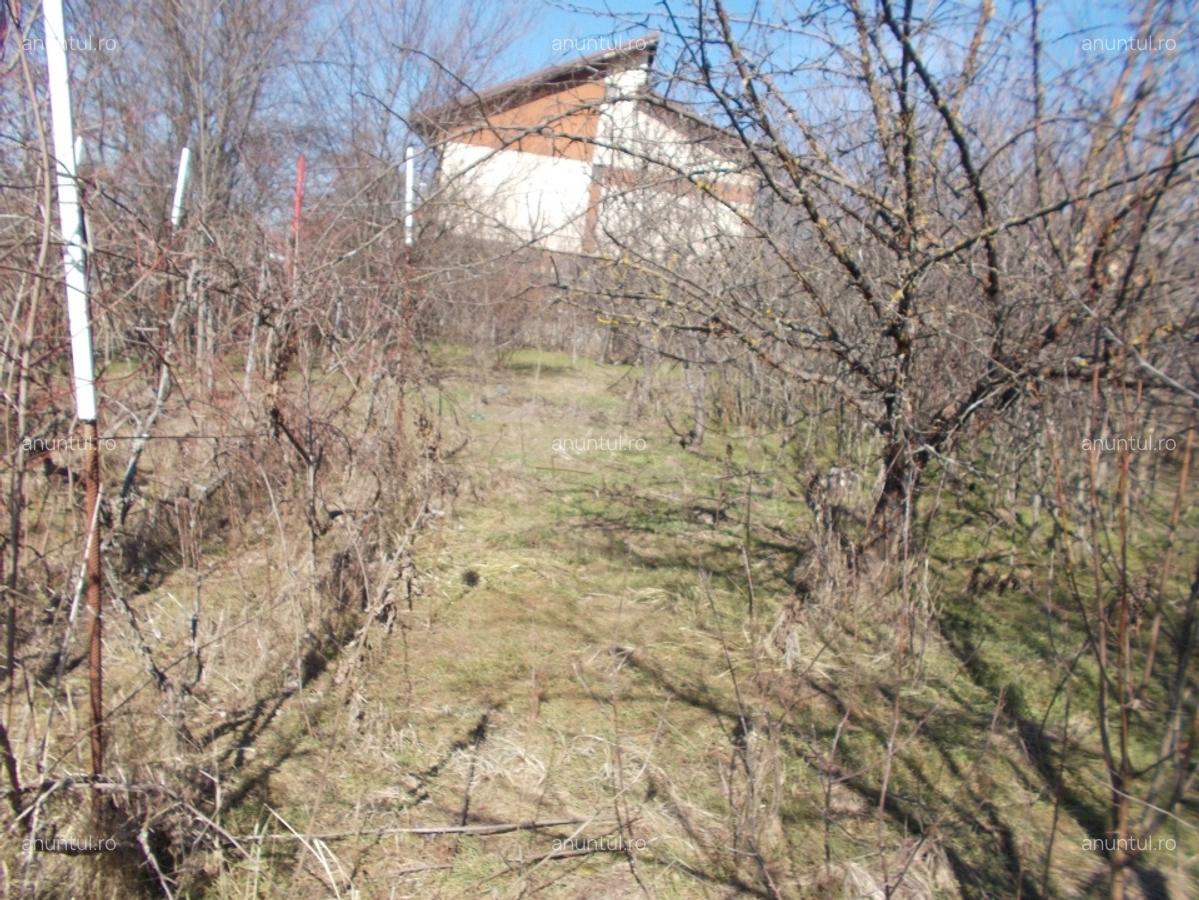 Vanzare Casa 4 Camere Clinceni - 5