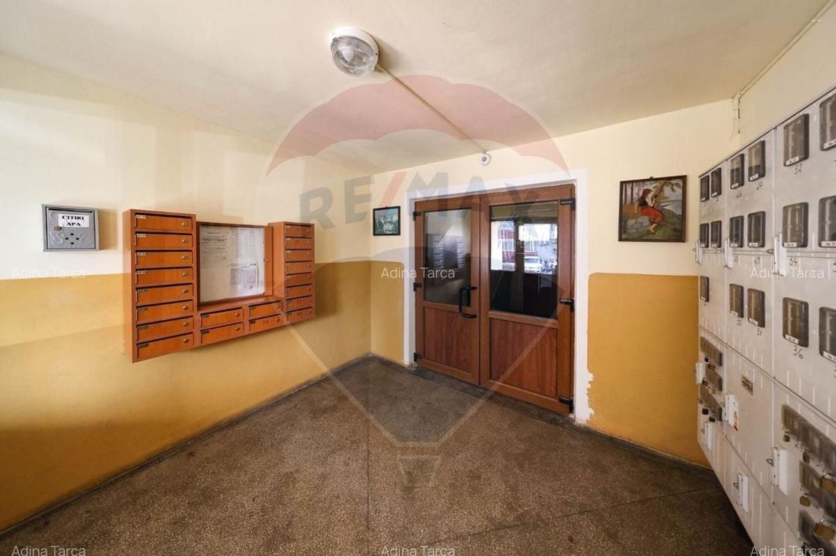 Apartament cu 2 camere semidecomandat, mobilat în Gemenii - 20