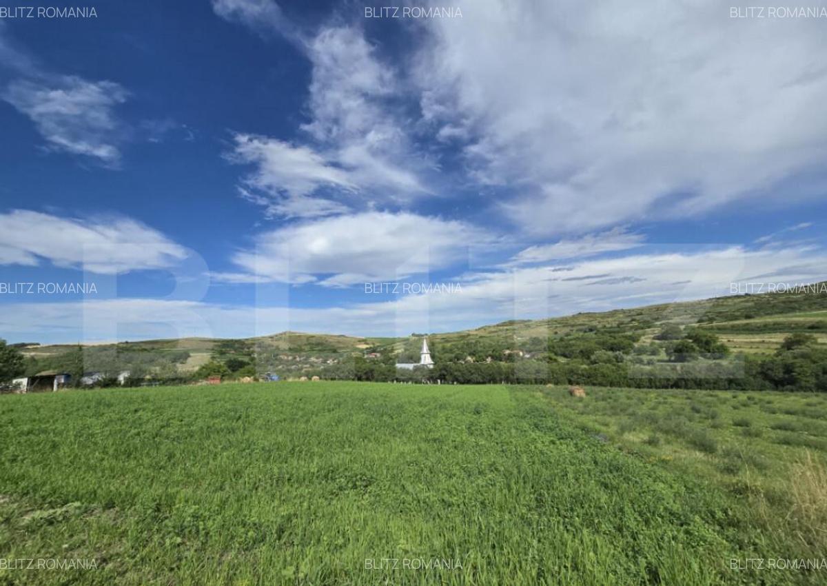 Teren intravilan, construibil in MACICASU , 3 KM de la Chint - 7