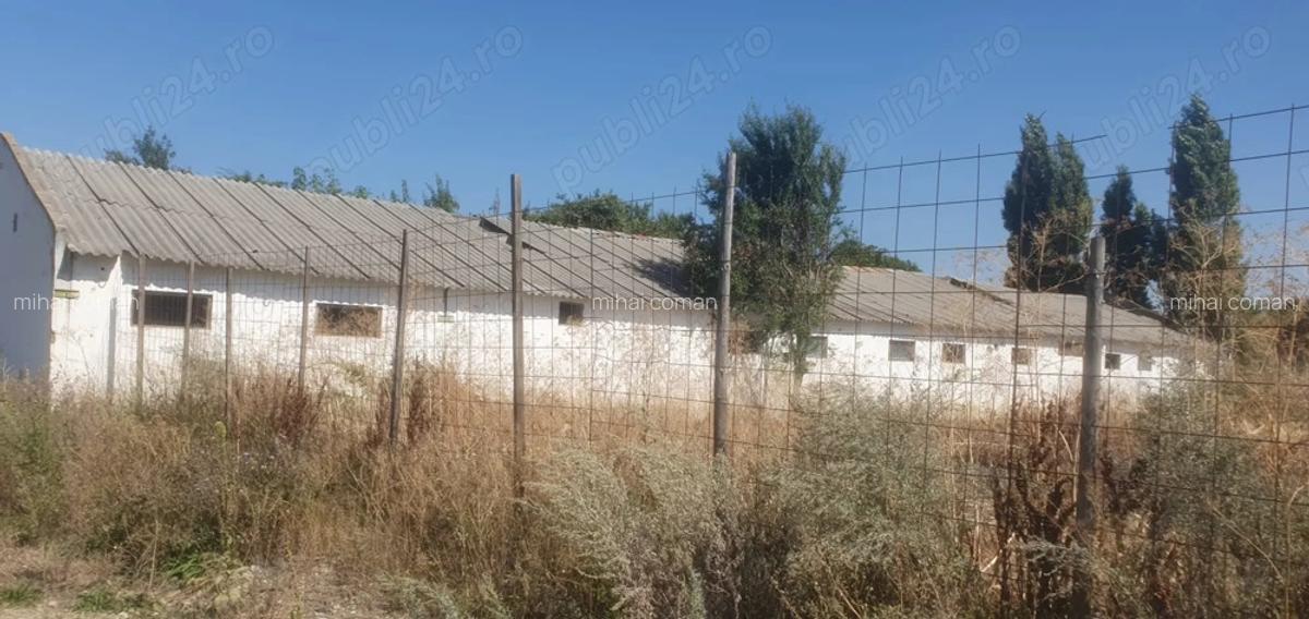 Inchiriez sau vand hala - 1