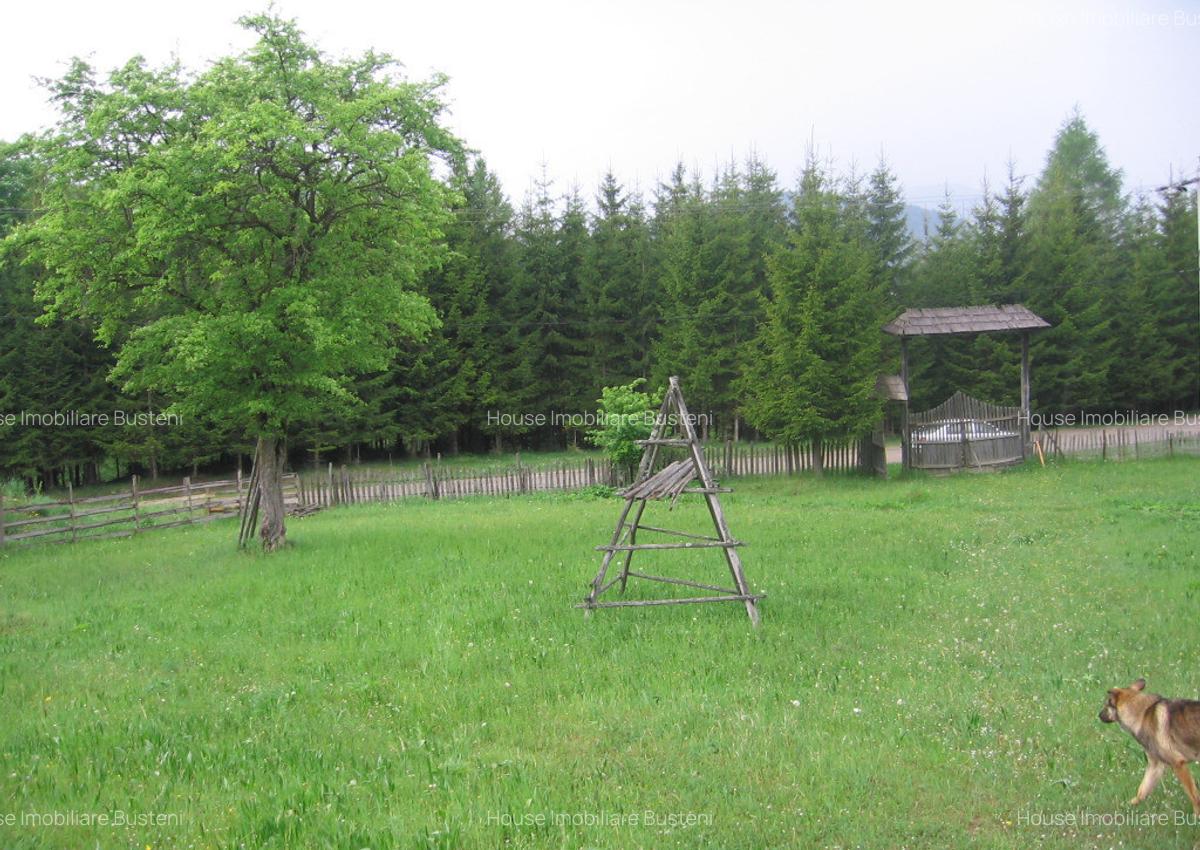 Teren intravilan Valea Doftanei - 6