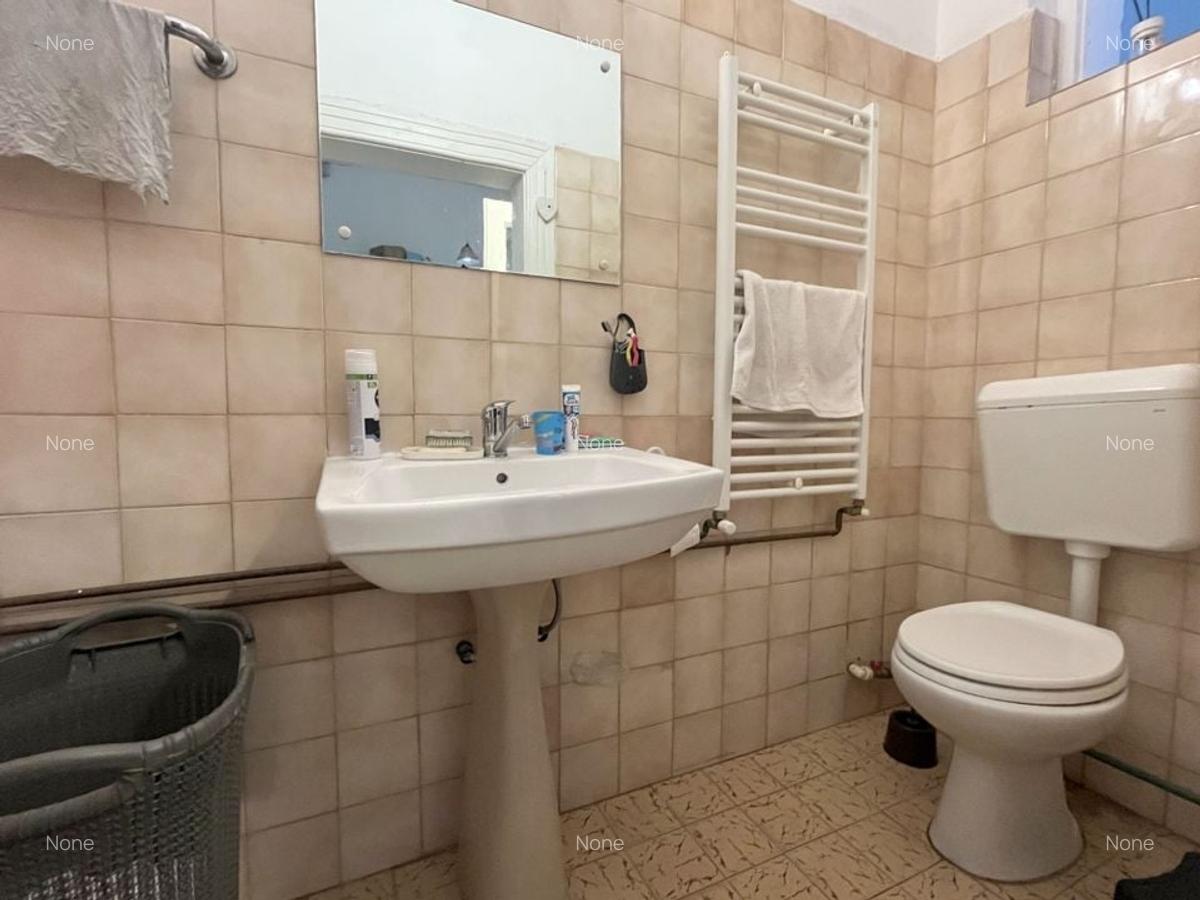 Apartament de vânzare – clădire istorică, zona Take Ionescu - 22