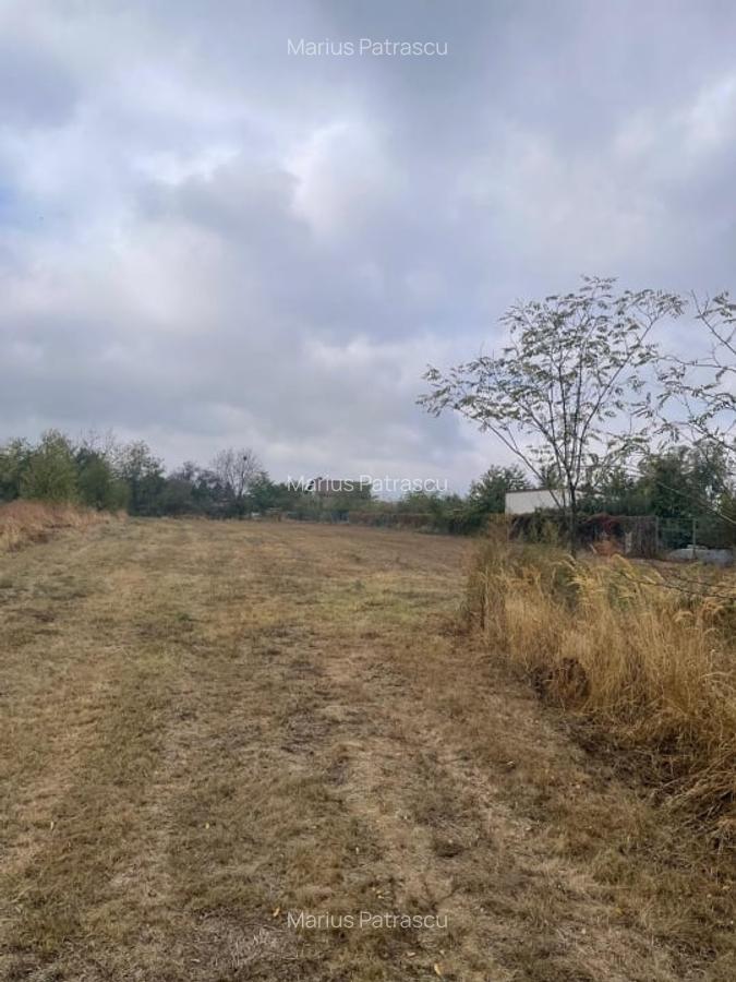 Teren Centru Clinceni - 2