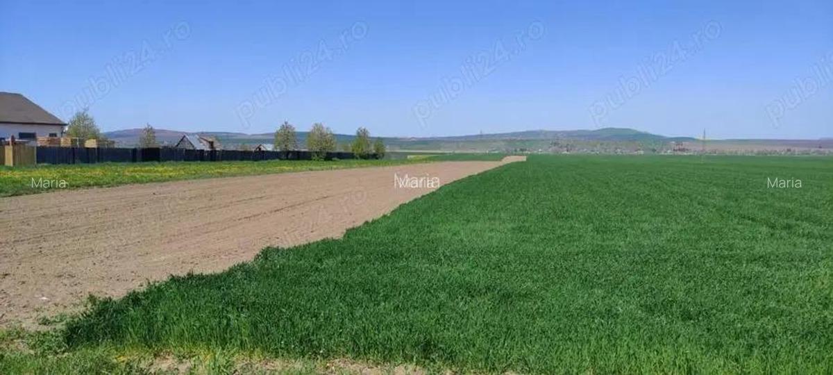 Vand teren 8100 mp - 4