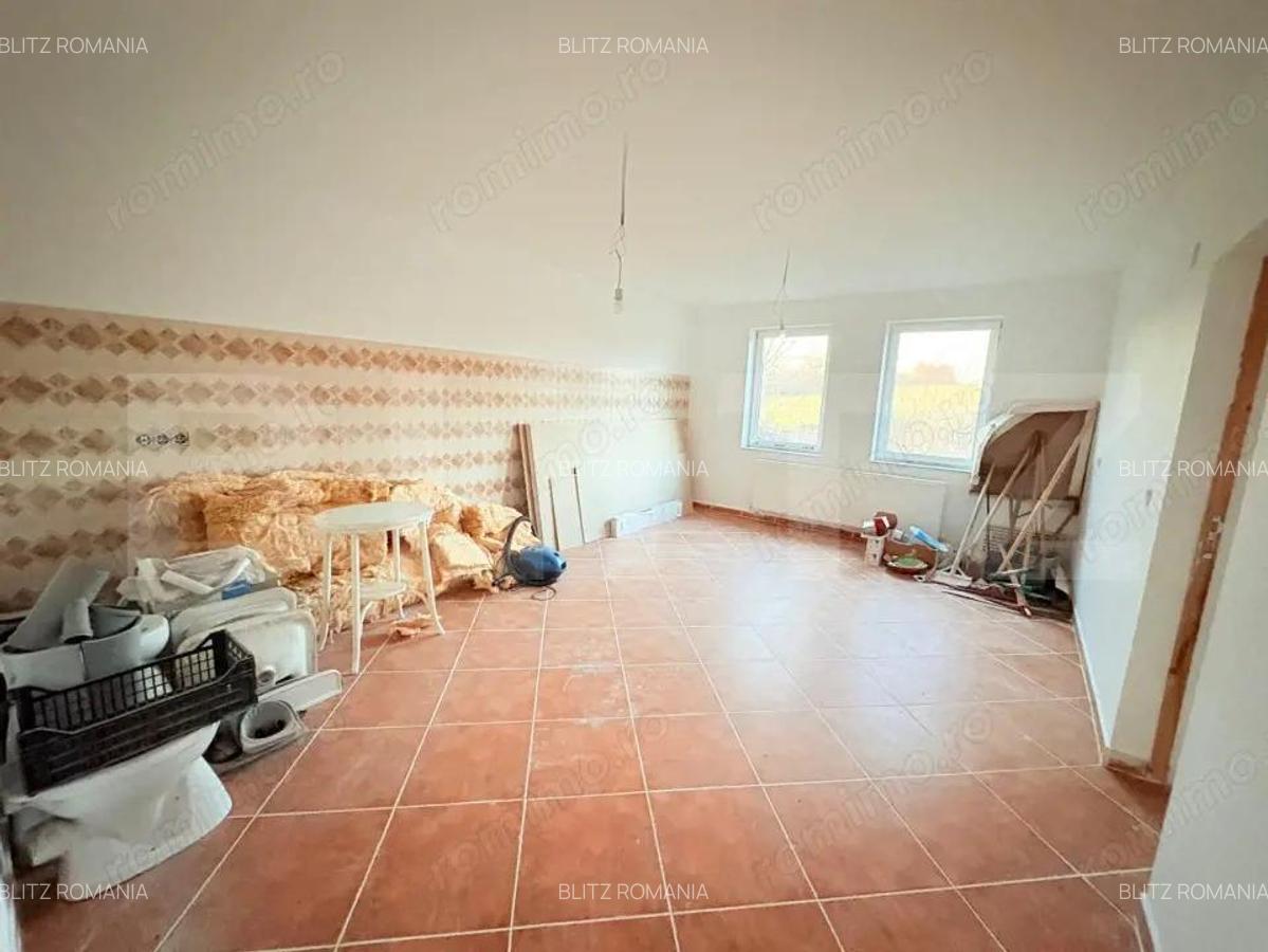 Casa de vanzare 534 mp, teren 16.351 mp, Viile Satu Mare - 12