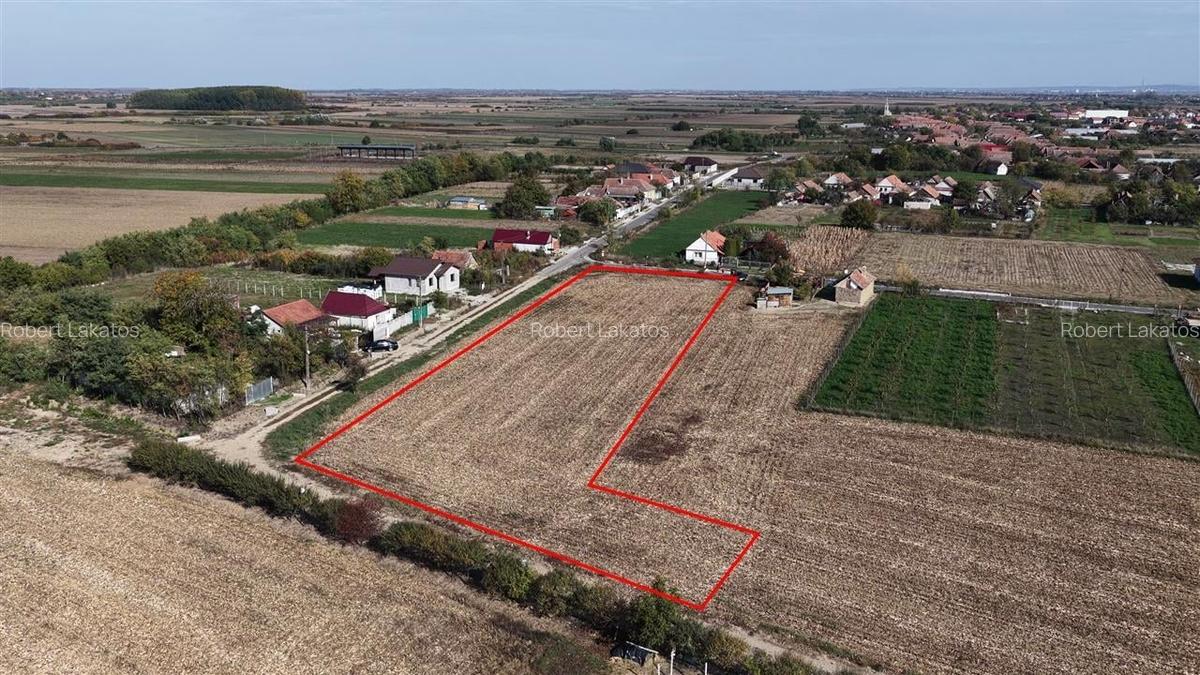 RECO Teren Cheresig 20 km de Oradea - 1