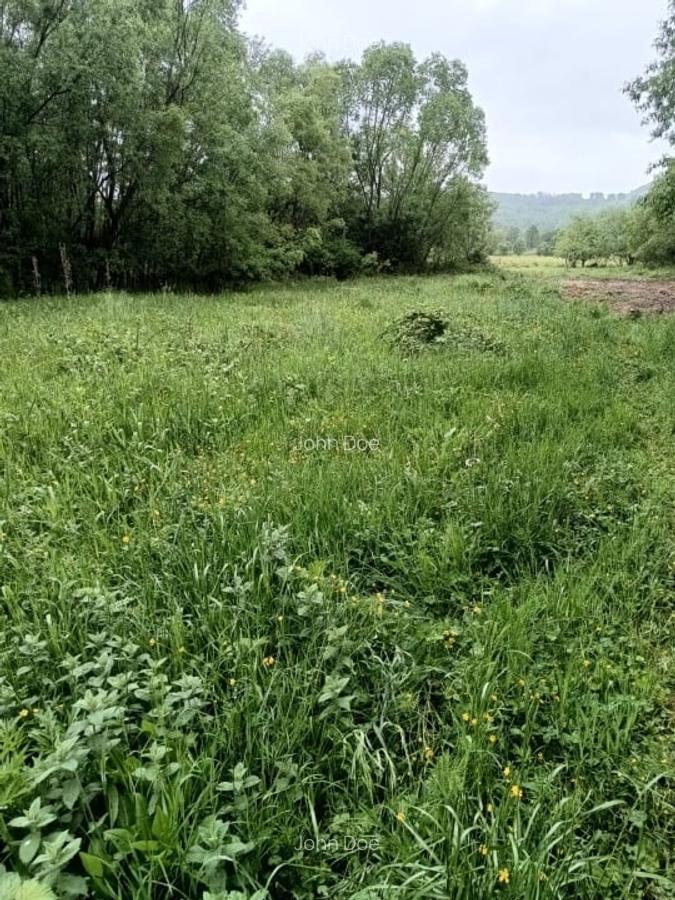 Teren de vanzare intravilan Com Fardea Jud Timis - Langa lacul Surduc - 7