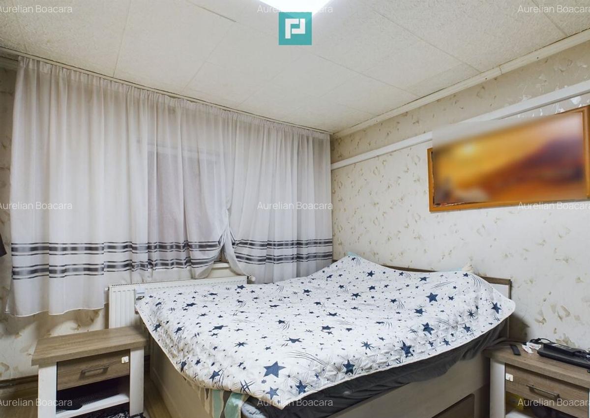 Casa individuala Sagului ( Shopping City ) - 13