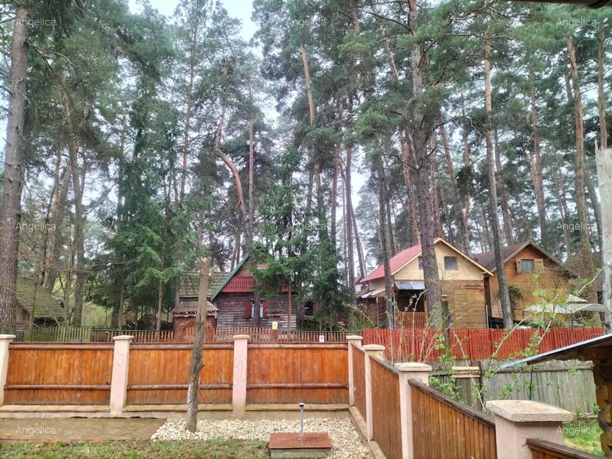 Casa de vacanta langa lacul Reci zona Mestecanis - 7