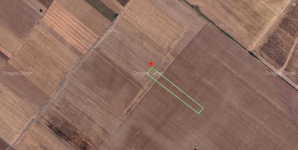 Teren Extravilan In Rate Primaverii Com. Berceni | 4997mp | #EG48 - 1