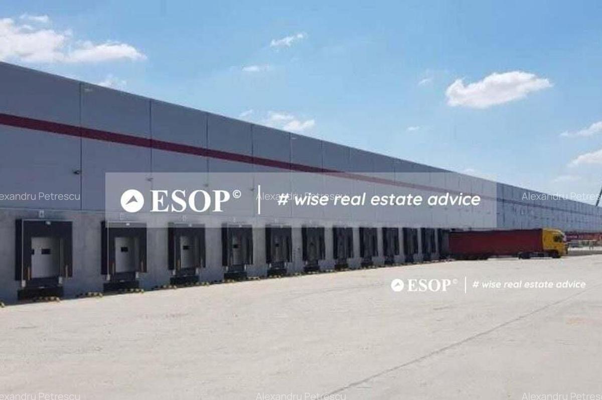 WDP Industrial Park Oarja, spatii industriale, 3.000 - 13.525 mp - 4