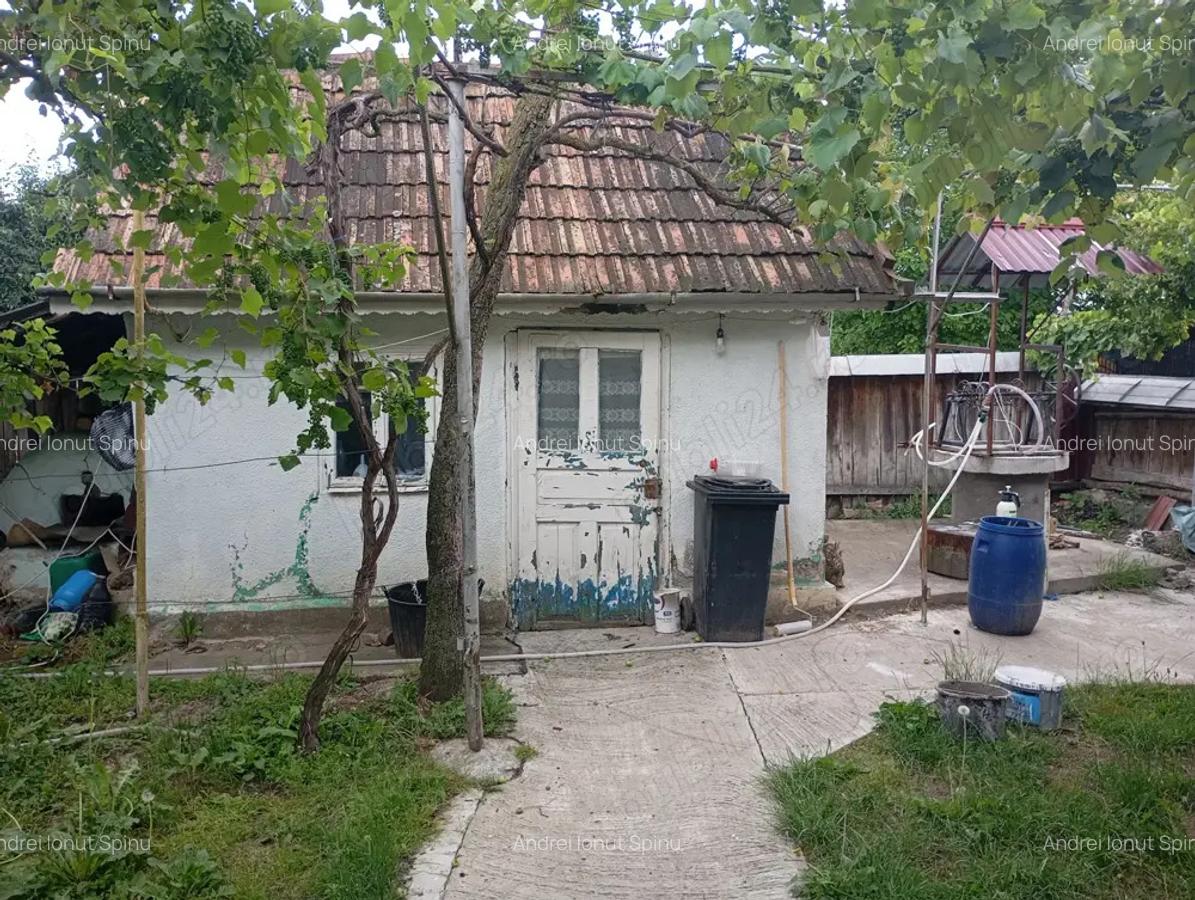 Casa cu gradina - 2