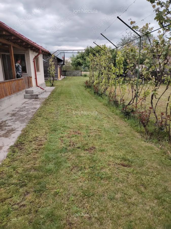 Casa + teren de vanzare | 3200mp | Crivatu, Cornesti, Dambovita - 5