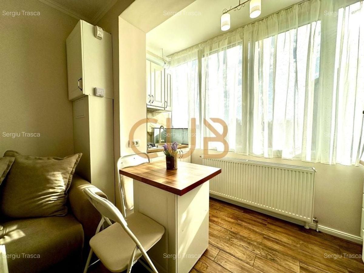 Apartament cu 3 camere semidecomandat, mobilat în Take Ionescu - 8