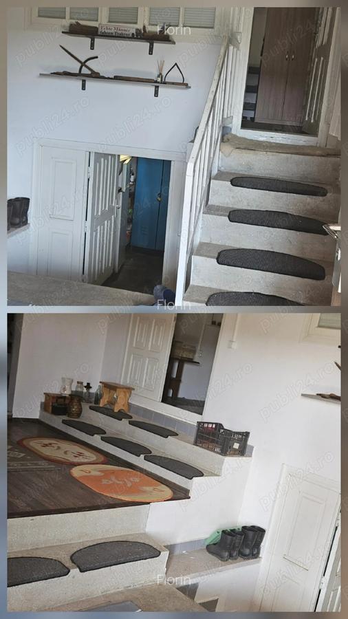 Casa 3 camere, bucatarie, baie, beci si teren 4600 mp, panouri solare, Mastacani - 5