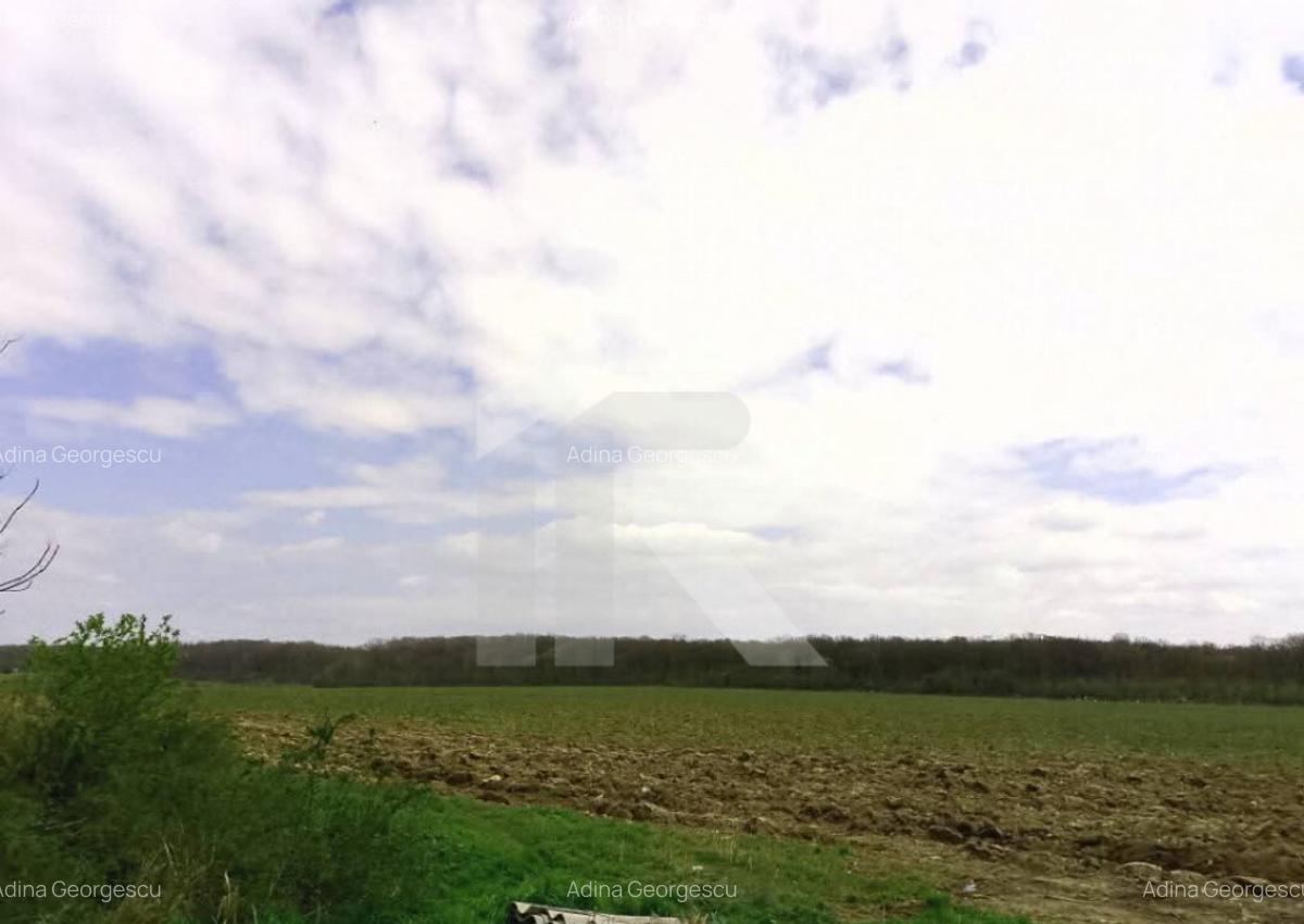 Com GRUIU_Reprezentare exclusiva_TEREN EXTRAVILAN LANGA PAD - 1