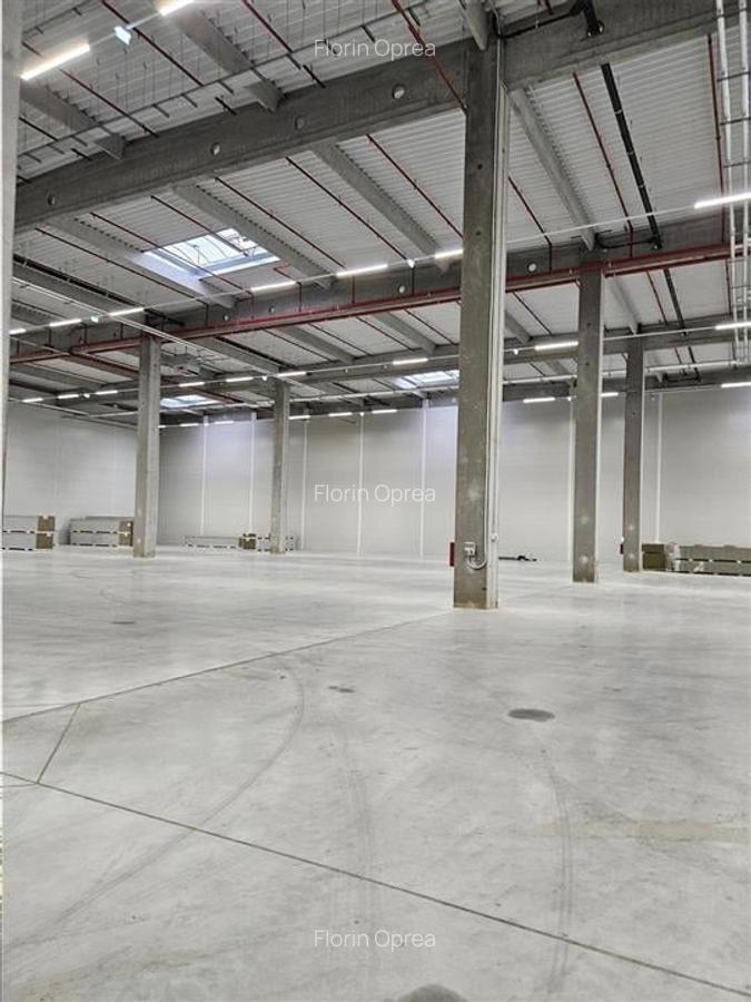 Spatiu Industrial - 6000 mp - Logistica - Productie - Depozitare - Distributie - 1