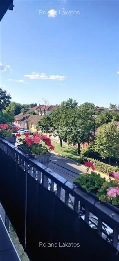 Apartament cu 3 camere decomandat în Iosia - 9