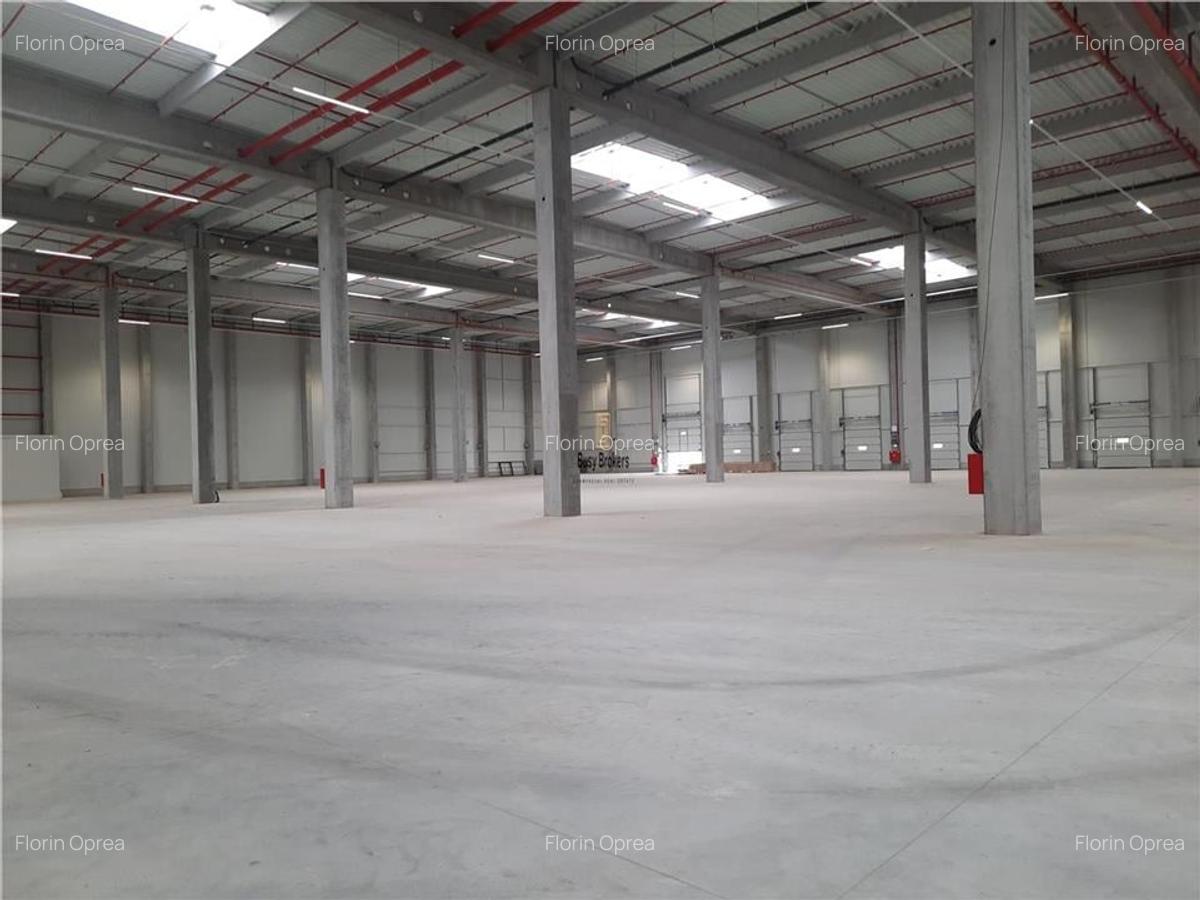 Spatiu Industrial - 4500 mp - Logistica - Productie - Depozitare - Distributie - 11
