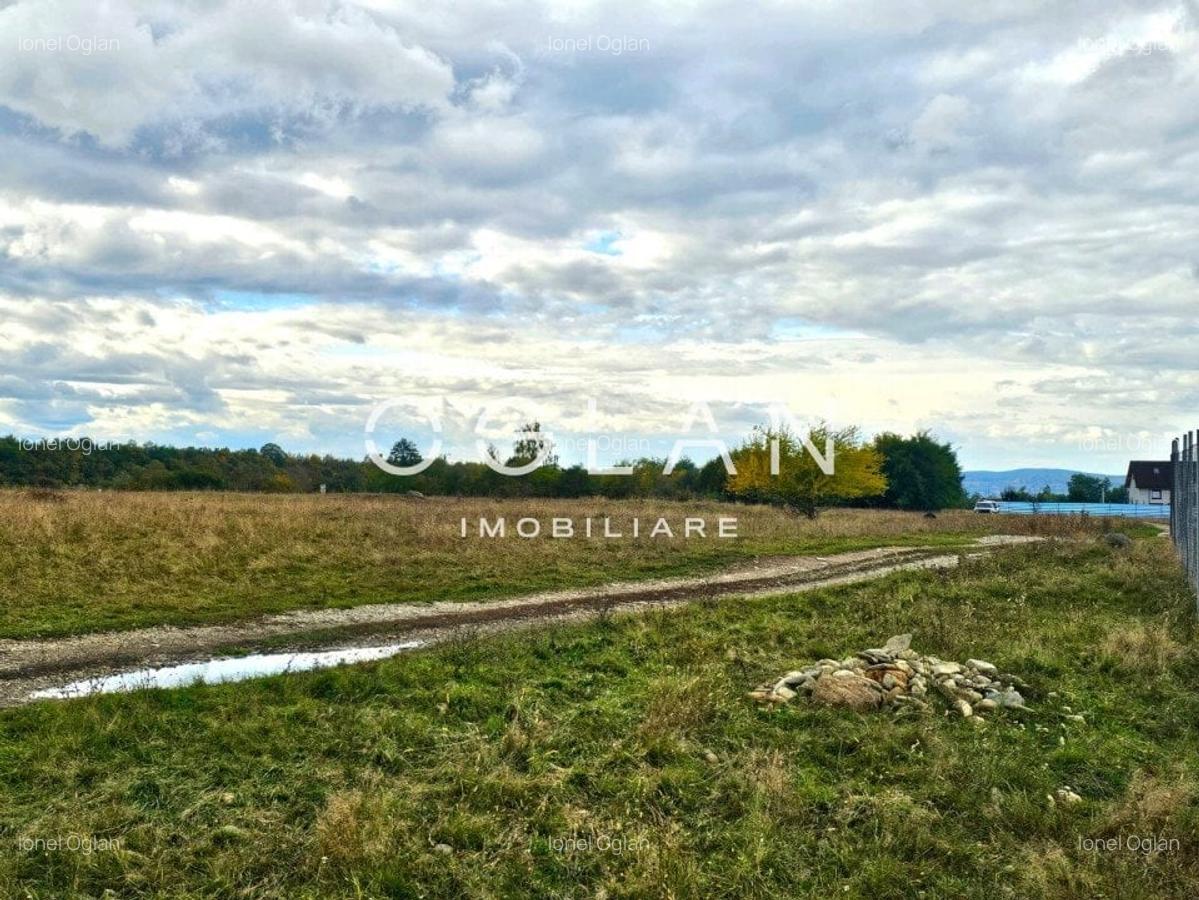SUPER OFERTA! Teren 2000mp - Valea Avrigului, Sibiu - 8