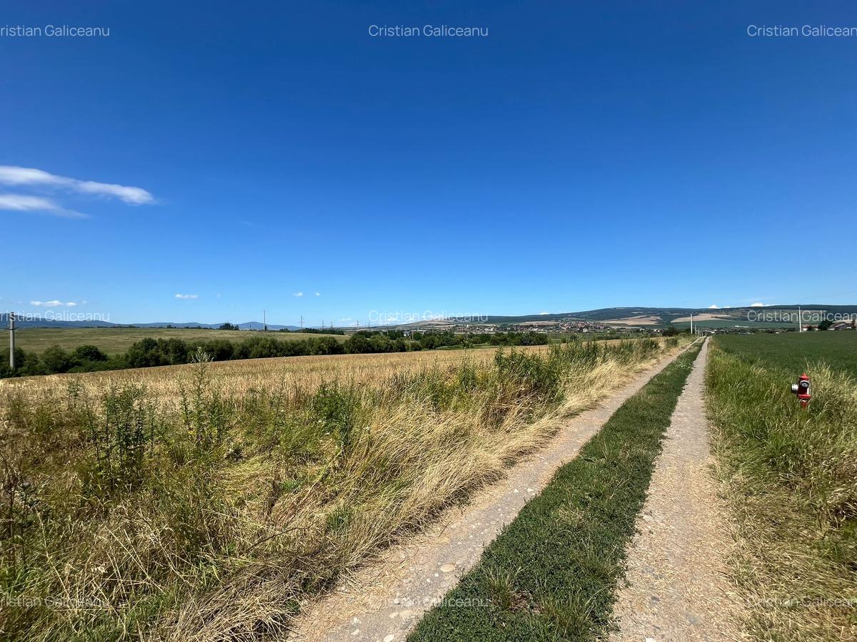 De vânzare teren extravilan – Calea Feldioarei, 10.000 mp - 6