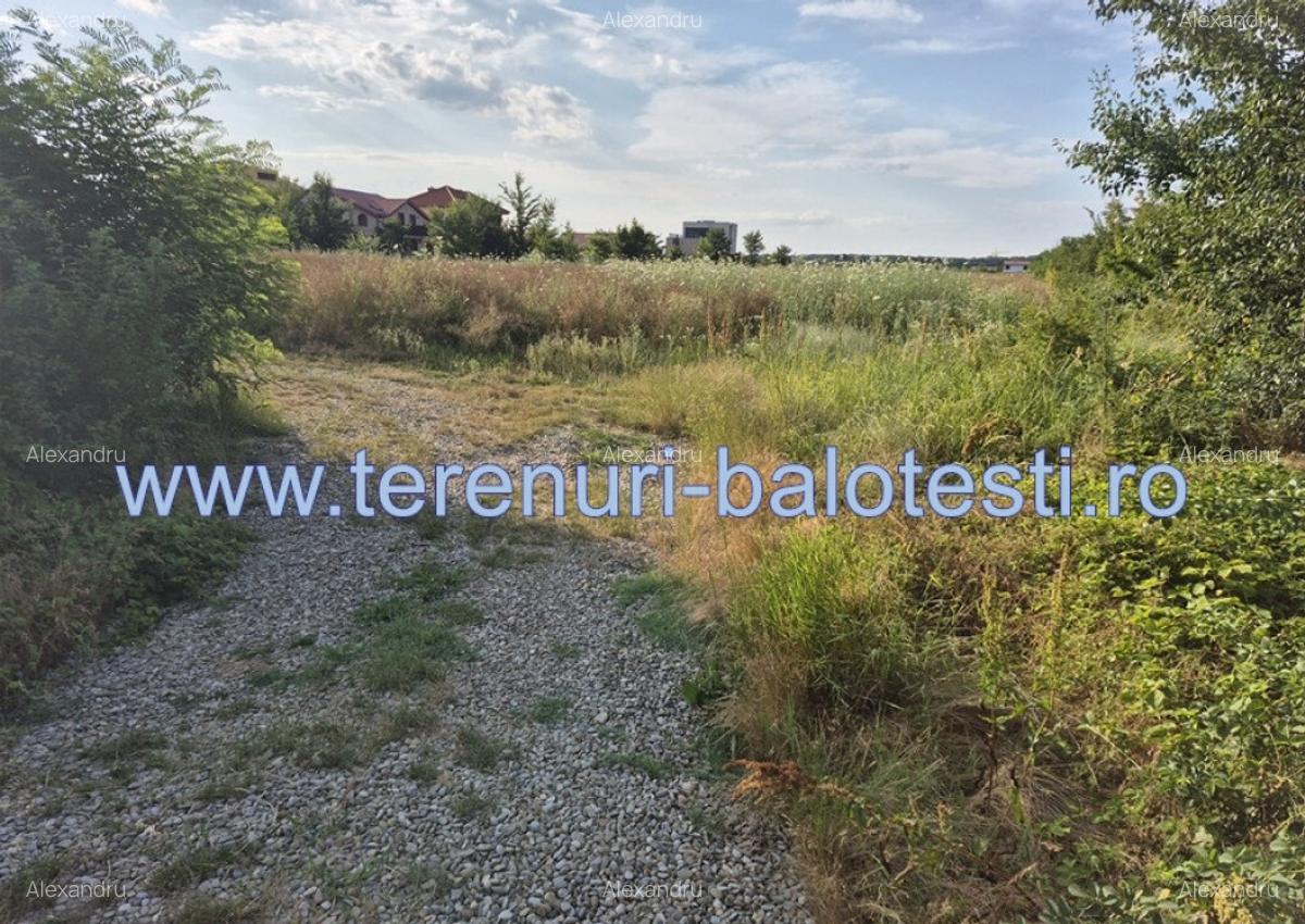 Teren ieftin la liziera padurii Balotesti, 13500 euro - 15
