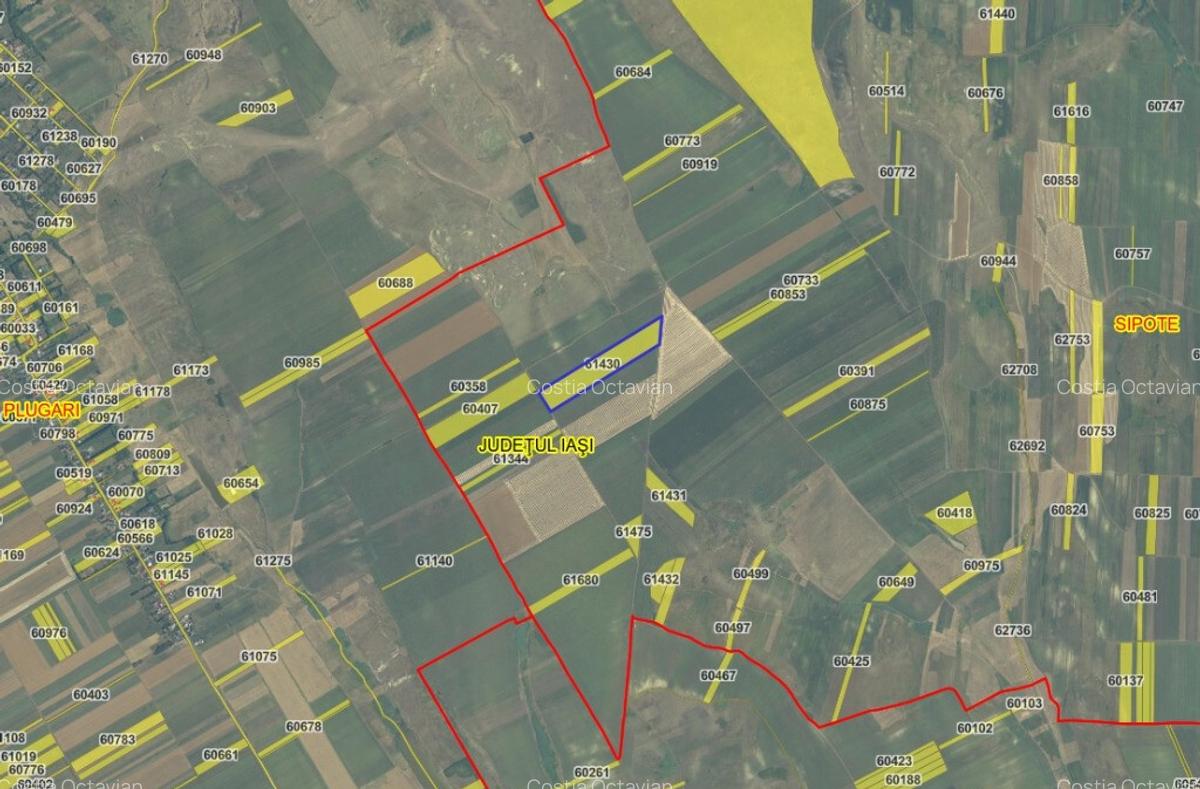 Persoana fizica - teren extravilan agricol Sipote, Jud. Iasi, 46500 mp - 4