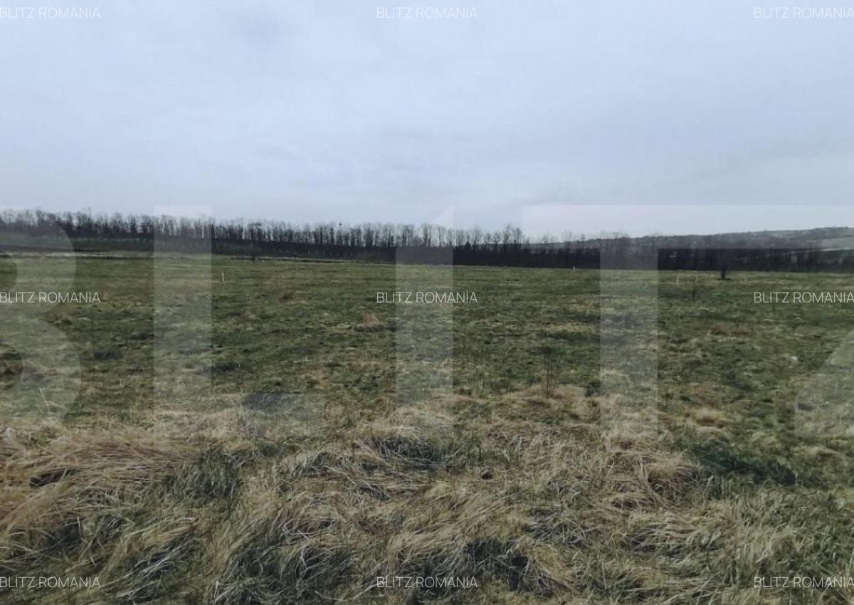 Teren intravilan 750 mp in Sopor - Cluj Napoca, front 29m - 2