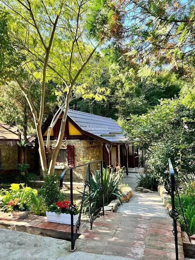 Vand casa Saca Montana - 2