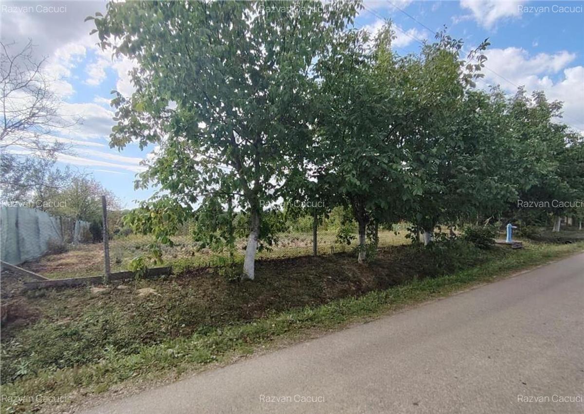RECO teren intravilan in Saliste de Beius - 3