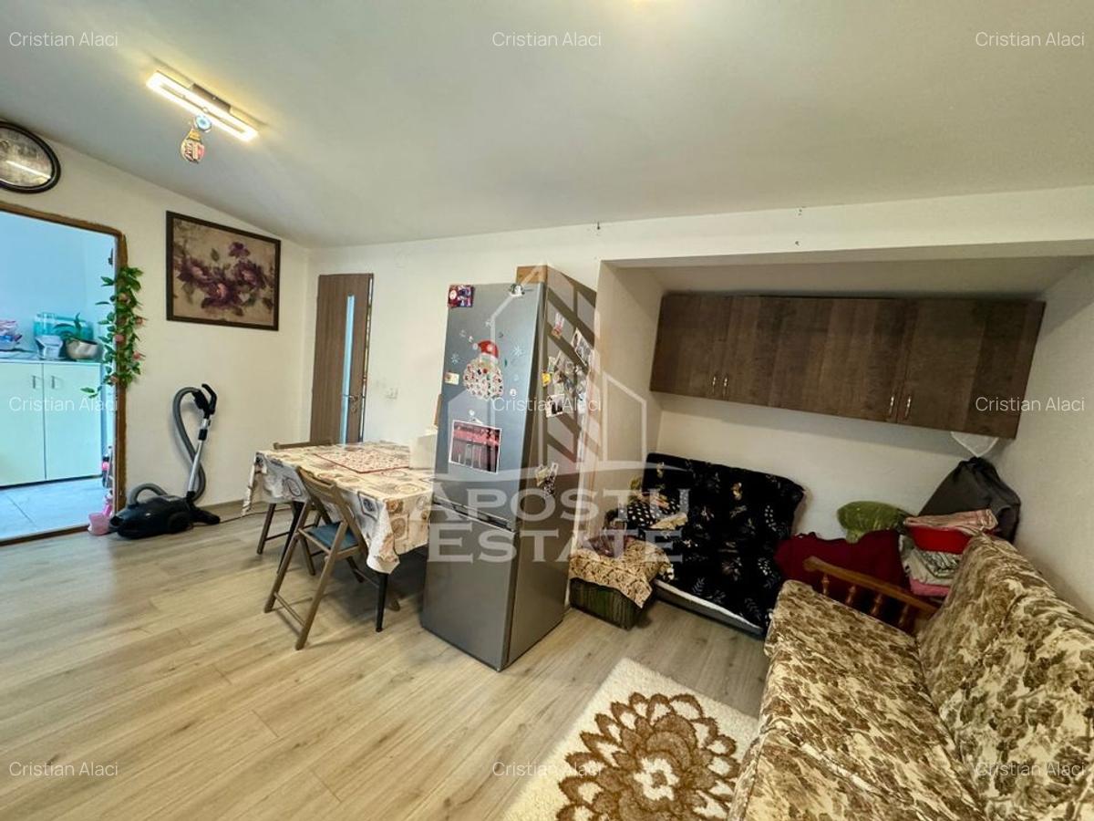 Doua apartamente la curte comuna , zona Iosefin - 11