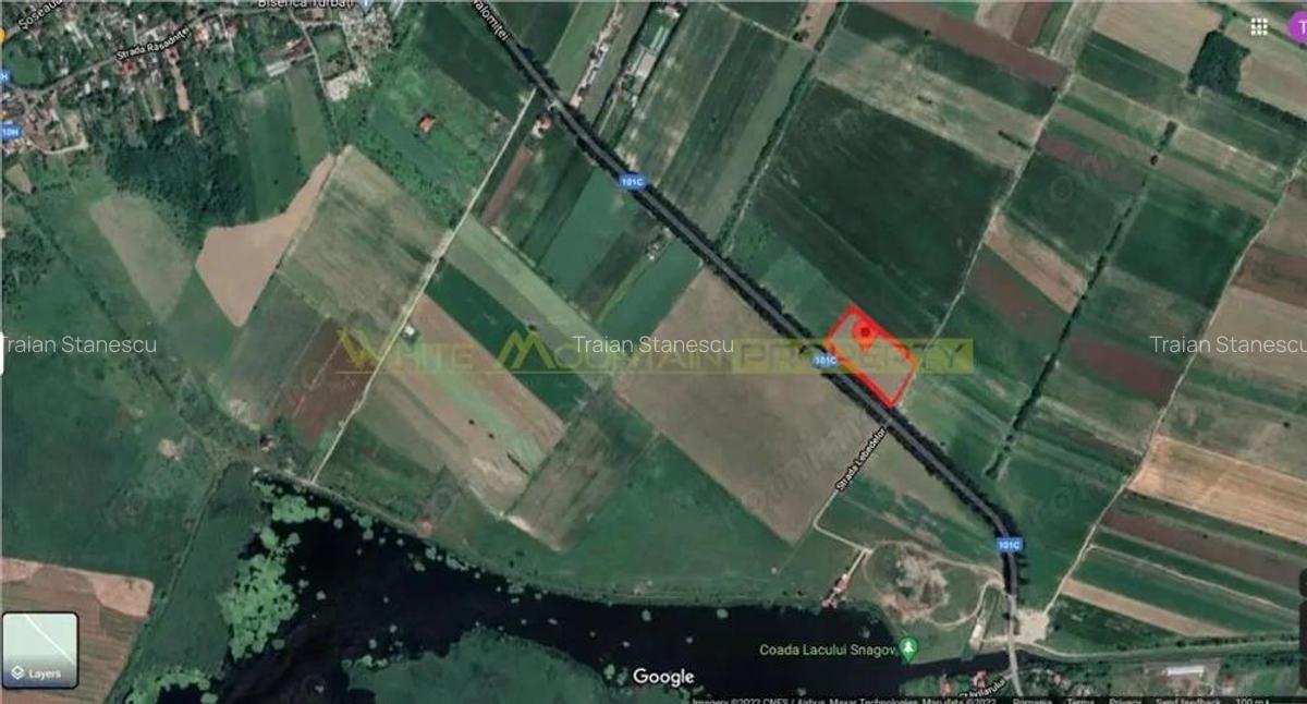 Teren 16100 mp de vanzare, Gruiu Snagov. Pret NEGOCIABIL - 2