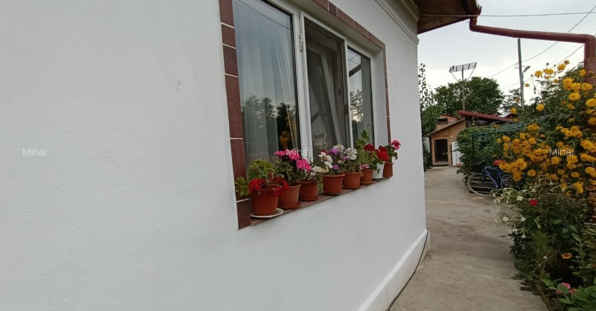 Casa cu teren aferent 1000 m2 - 15