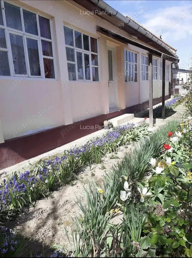 Casa de vanzare in Cebza - 6