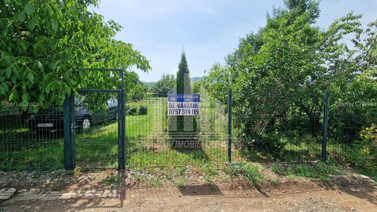 Teren intre Alba-Micesti, partea dreapta - 8
