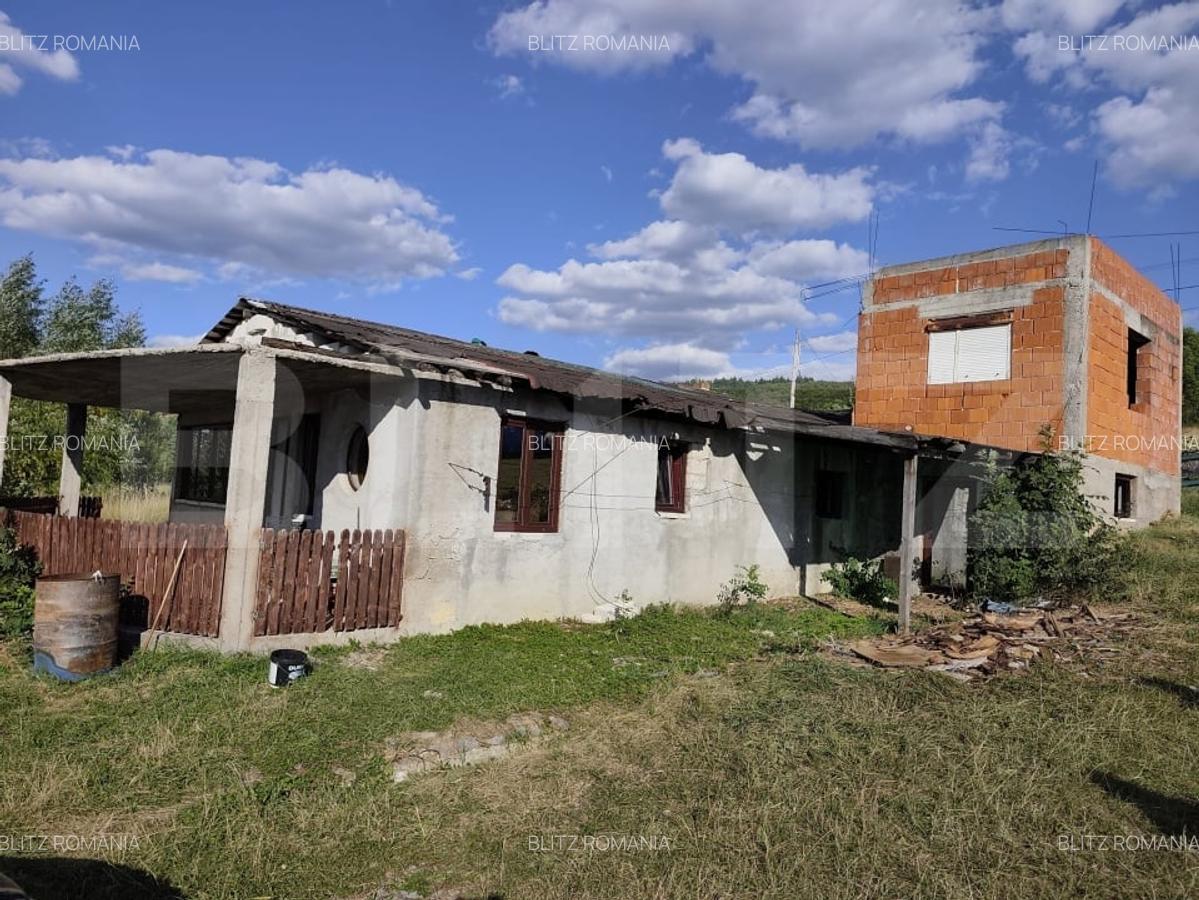 De vanzare casa, zona turistica Vadu Crisului - Bratca, cu teren 5000 mp - 10