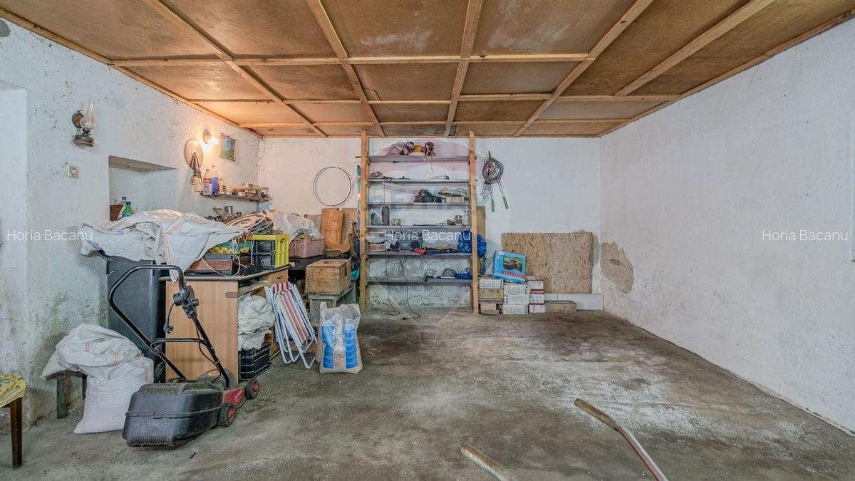 Comision 0 | Casa cu 3 camere, teren 1541 mp, livada, beci si garaj - 16