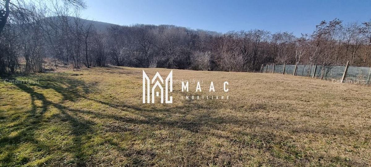 Casă 5 camere I 1600mp teren I Acces auto I Amnaș - 24