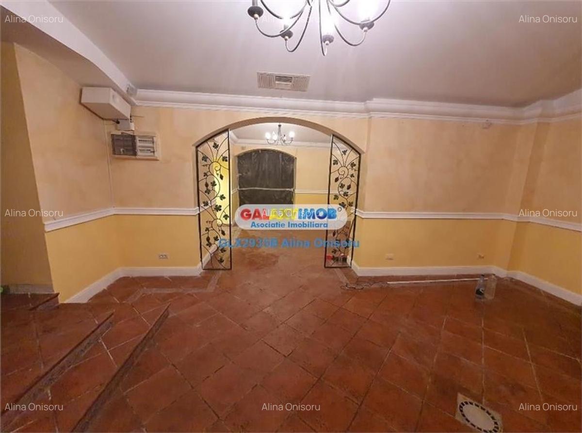 Spatiu comercial 100 mp Moxa Victoriei - 1