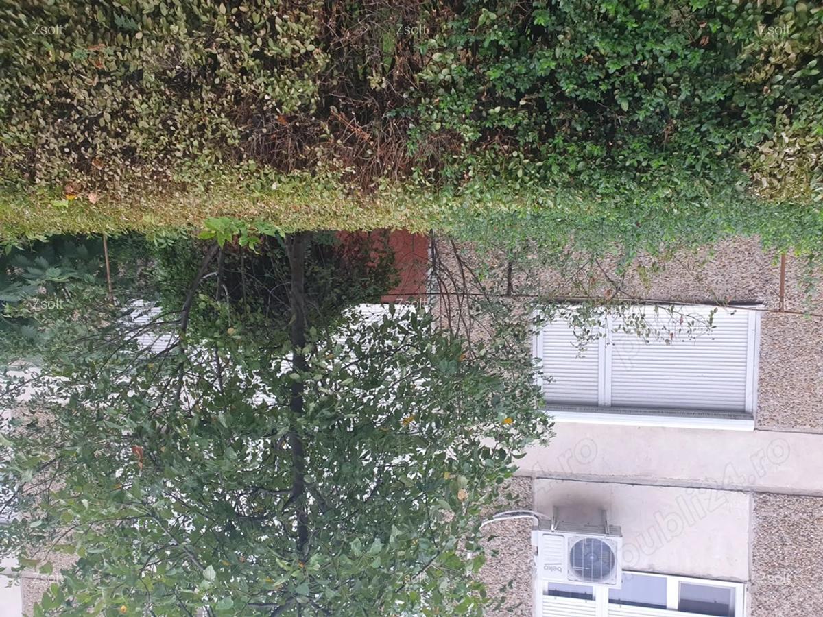Apartament 3 camere Rogerius - 2