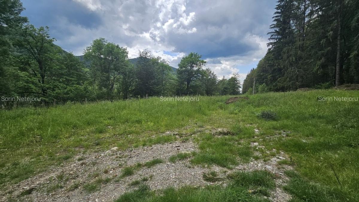 Teren Construcții intravilan de 7546 mp, în Valea Doftanei - 2