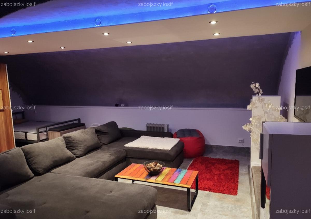 Apartament 1 camera ultracentral la demisol, 50mp. - 4