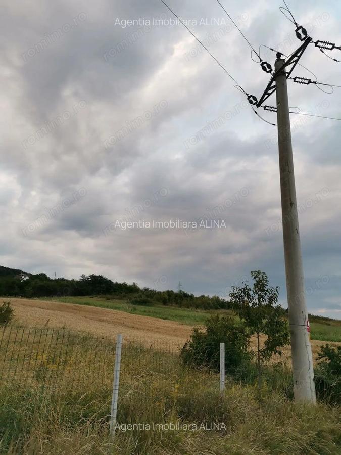 Teren intravilan 1.621 mp la intrare in Satul Almasu Sec din Comuna Carjiti, Jud. Hunedoara. - 1