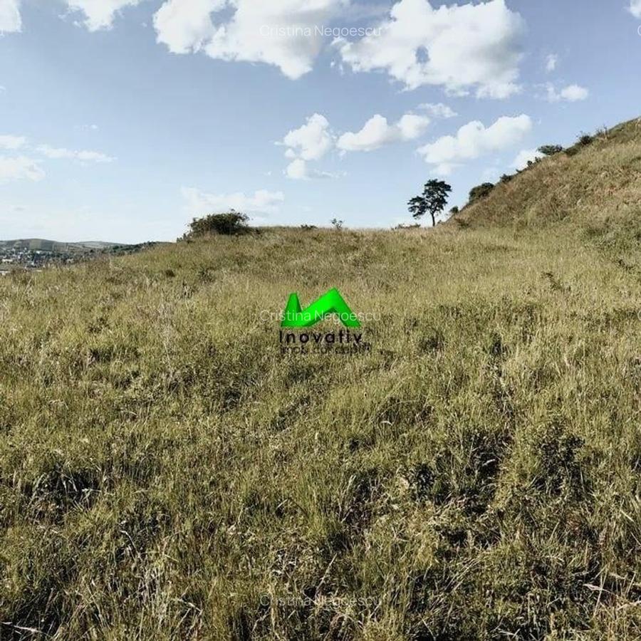 Teren de vanzare extravilan Sibiu Gusterita - 2