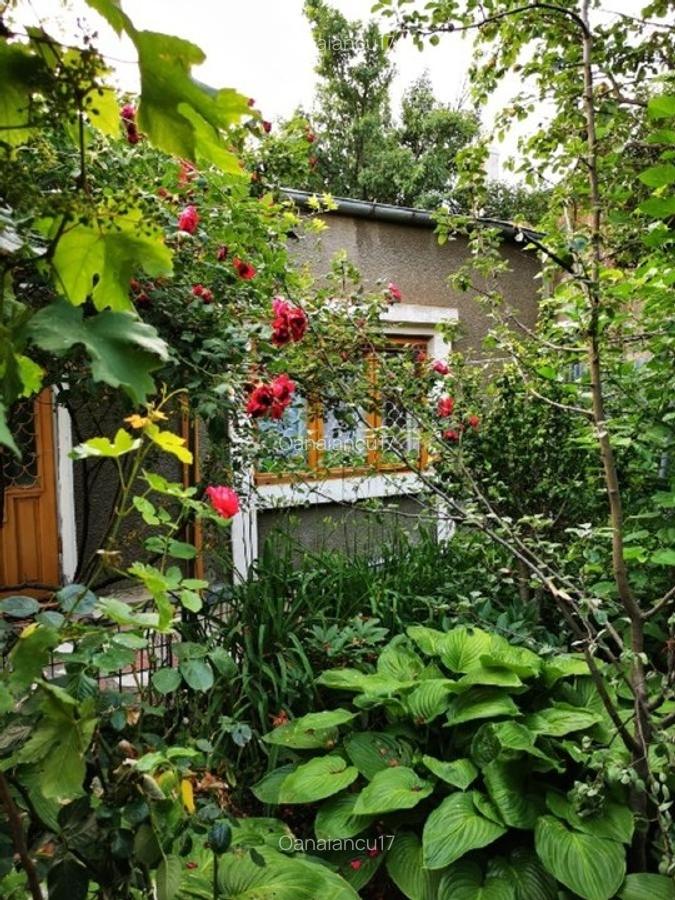 Casa centru Universitate - 1