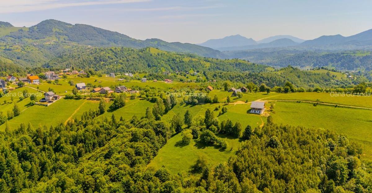 Teren extravilan 2,000mp Pestera / cabana vacanta/natura - 7