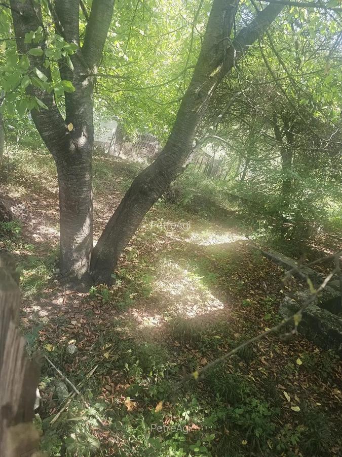 Teren de 1113 mp si casa batraneasca in comuna Mihaesti jude?ul Valcea - 5