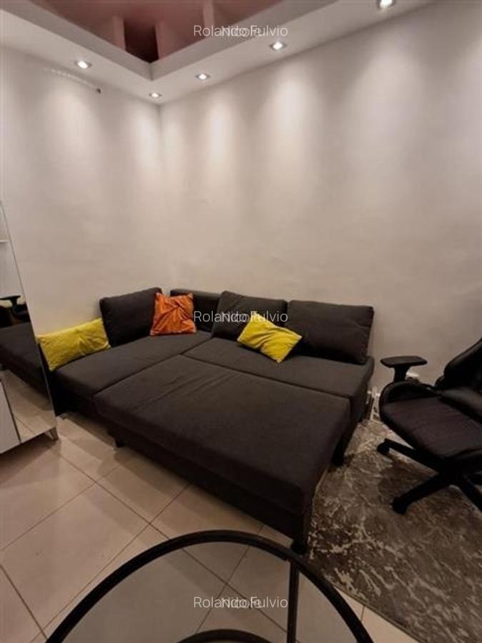 Vanzare garsoniera Mosilor in vila - 4