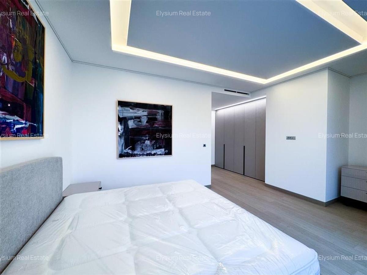 Apartament de inchiriat 4 camere Kiseleff - 20